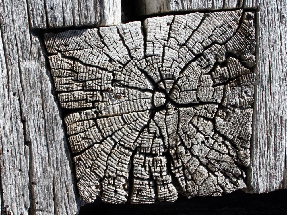Extreme close up macro of authentic 18th-century hand cut dovetails on antique walnut drawer joint